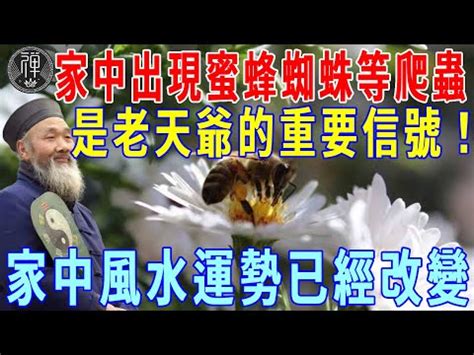 蜂窩風水|【蜂窩風水】家有蜂窩風水：黃蜂來了是吉是禍！破解隱藏玄機